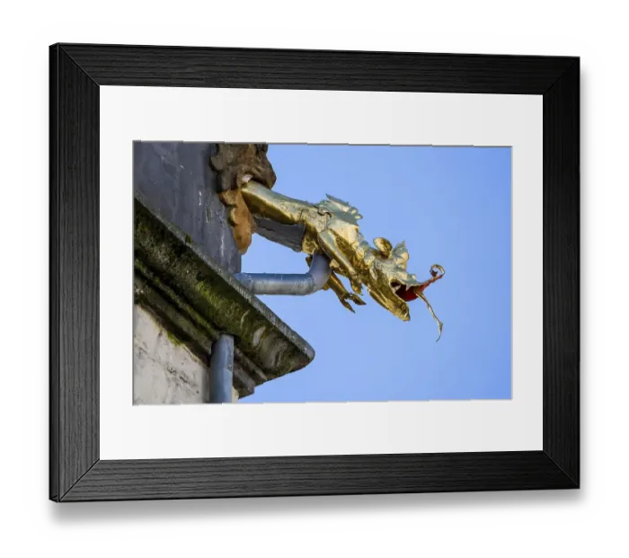 Framed Print : Dragon-headed gargoyle of the town hall