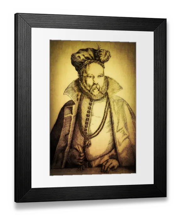 Framed Print : Tycho Brahe, 1546 - 1601, Danish astronomer and writer Framed Print : Tycho Brahe, 1546 - 1601, Danish astronomer and writer