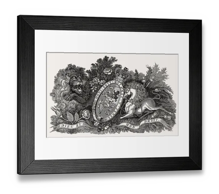 Framed Print : Royal symbol, England, illustration by Th Framed Print : Royal symbol, England, illustration by Th