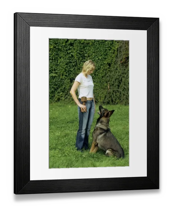 Framed Print : Young blond girl with German Shepherd Framed Print : Young blond girl with German Shepherd