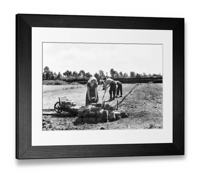 Framed Print : Agriculture, turf cutting workers Framed Print : Agriculture, turf cutting workers