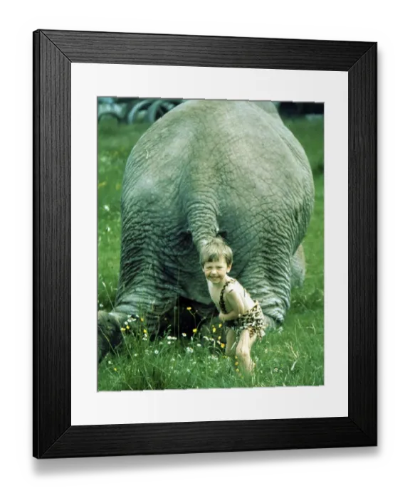 Framed Print : Child pulls elephant on tail, England
