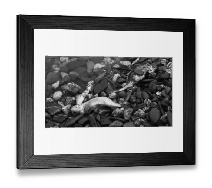 Framed Print : The poison accident on the Rhine