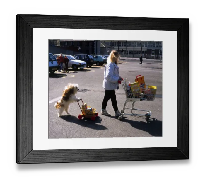 Framed Print : Woman and dog with shopping cart