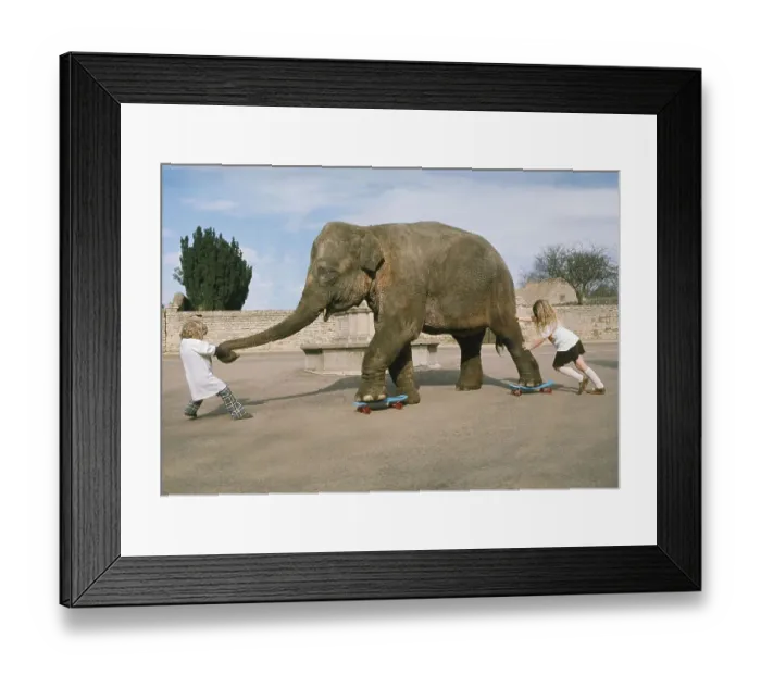 Framed Print : Two girls playing with an elephant Framed Print : Two girls playing with an elephant