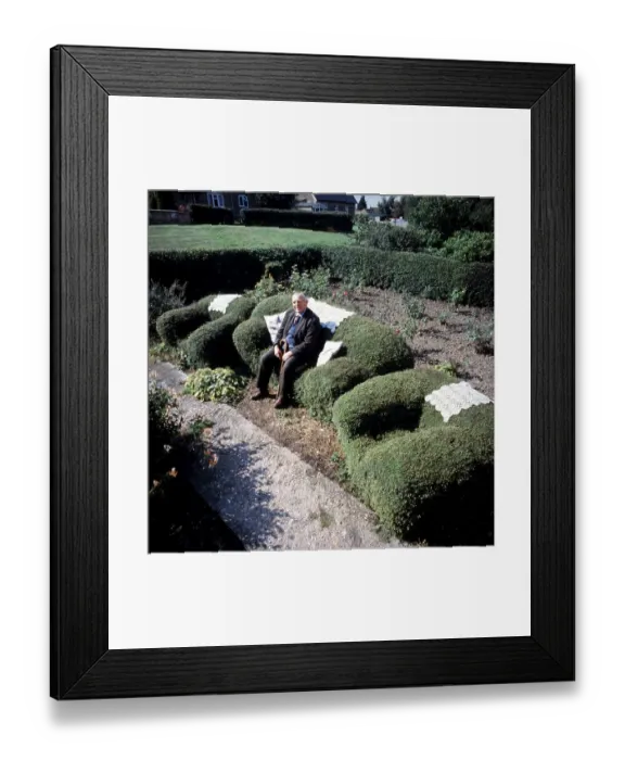 Framed Print : Old man sitting on an armchair cut from a hedge
