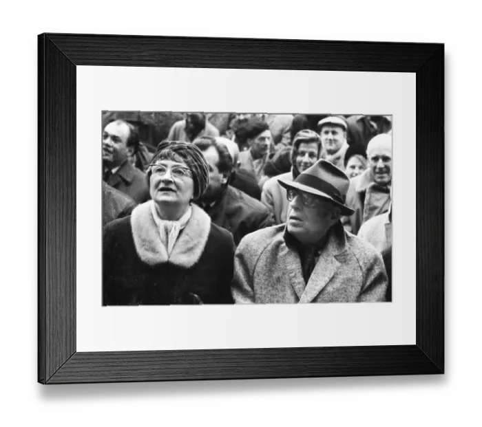 Framed Print : The activities of the left Framed Print : The activities of the left