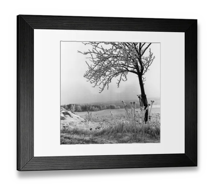 Framed Print : Winter in the CSSR, Prague and surroundings on 28