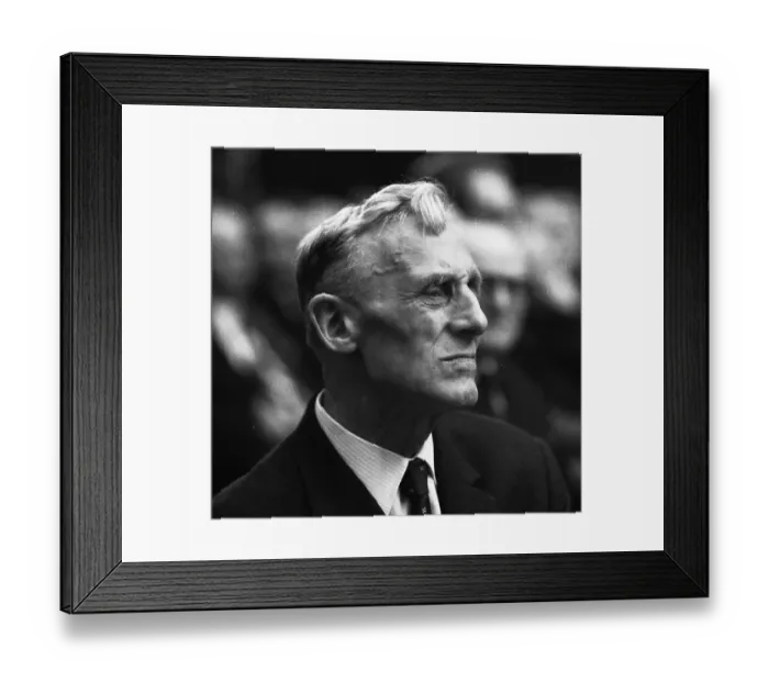 Framed Print : More than 2, 500 large-scale