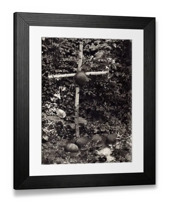 Framed Print : Soldier's grave, historic photograph Framed Print : Soldier's grave, historic photograph