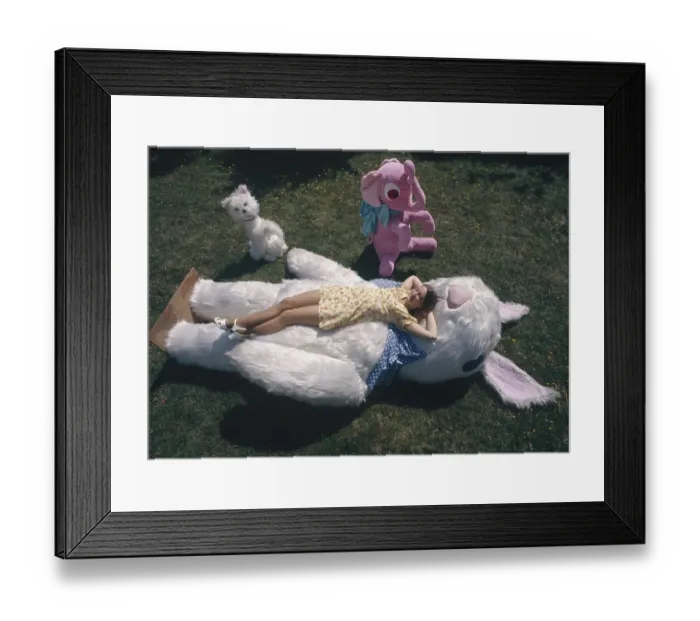 Framed Print : Woman with soft toys, England, Great Britain