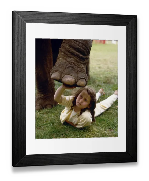 Framed Print : Girl plays with elephant, England, Great Britain