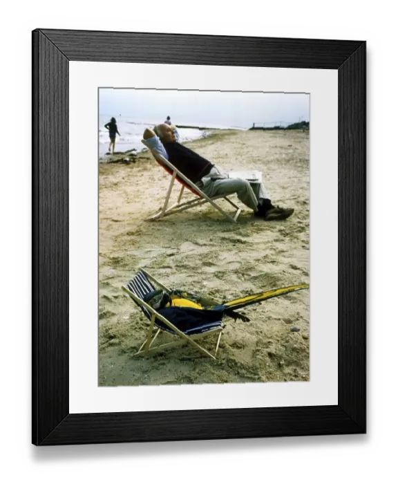 Framed Print : Parrot in deck chair, England, Great Britain