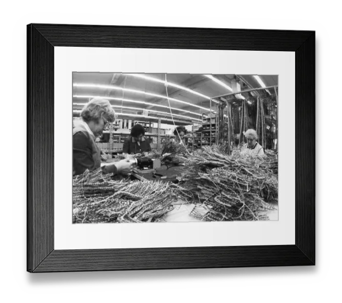 Framed Print : Many woman and a few men work at jobs at Standard Elektrik Lorenz (SEL) Framed Print : Many woman and a few men work at jobs at Standard Elektrik Lorenz (SEL)