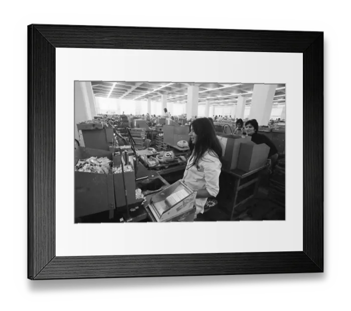 Framed Print : Women's workplaces at Siemens on 22 Framed Print : Women's workplaces at Siemens on 22