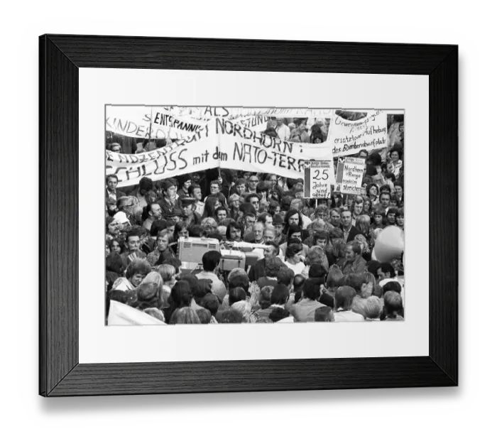 Framed Print : Environmental protection, detente