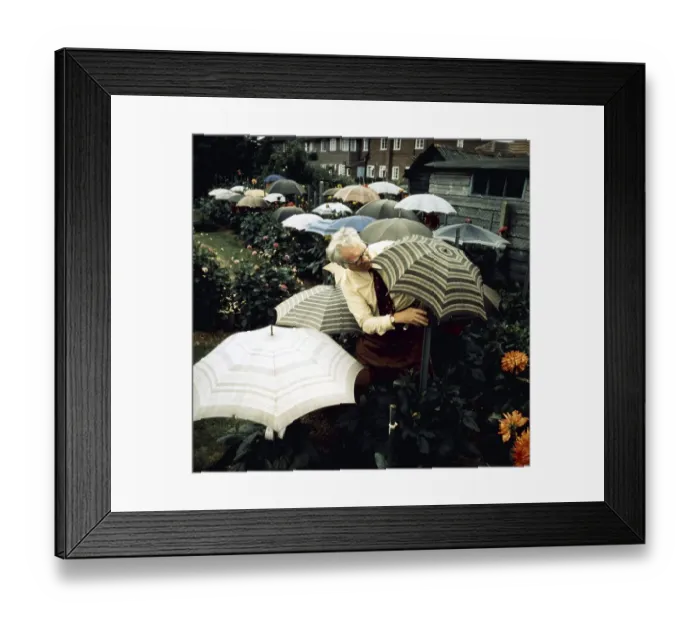 Framed Print : Gardener with umbrellas, England, Great Britain