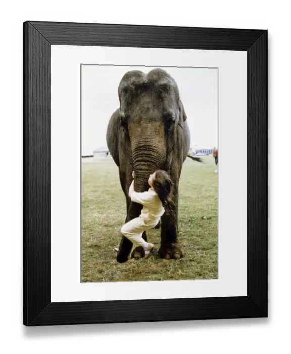 Framed Print : Girl swings at the elephant's trunk