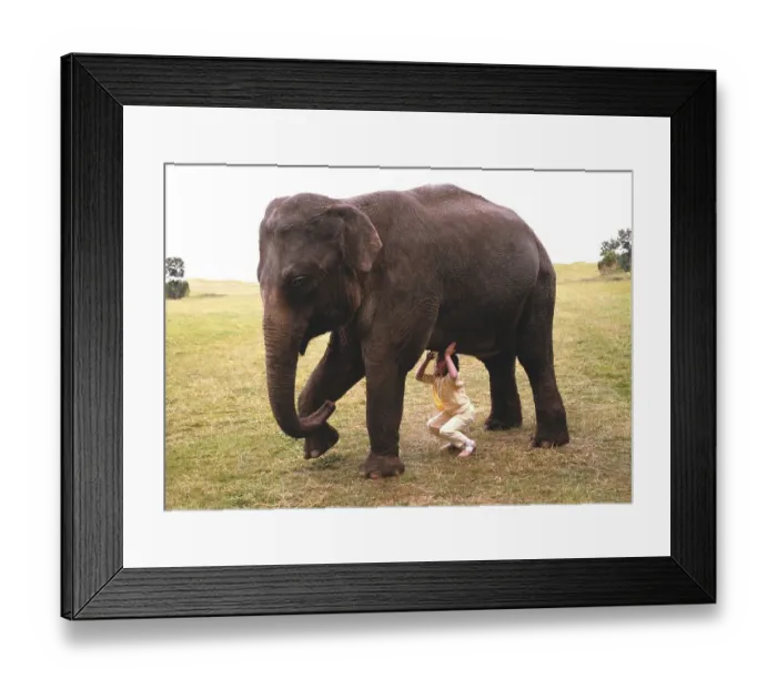Framed Print : Girl stemming elephants, England, Great Britain Framed Print : Girl stemming elephants, England, Great Britain