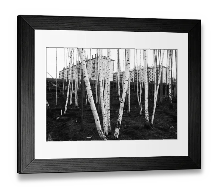 Framed Print : RUS, UdSSR, Irkutsk: Impressions from the USSR 1972 Siberia Framed Print : RUS, UdSSR, Irkutsk: Impressions from the USSR 1972 Siberia