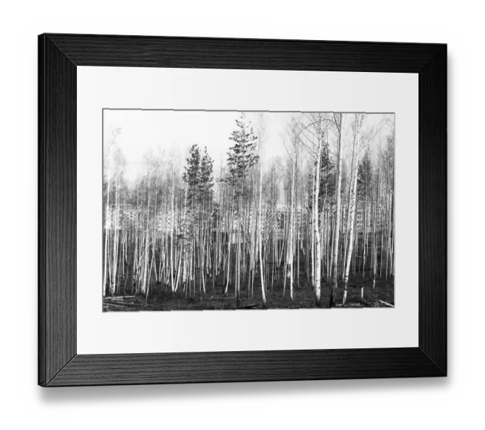 Framed Print : RUS, UdSSR, Irkutsk: Impressions from the USSR 1972 Siberia