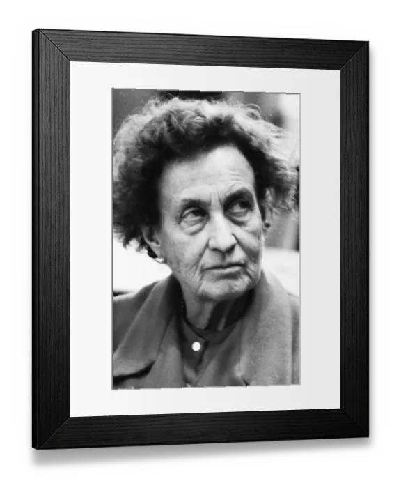 Framed Print : The Union Day of the German Peace Union (DFU) on 29 November 1975 in Dortmund is a party conference