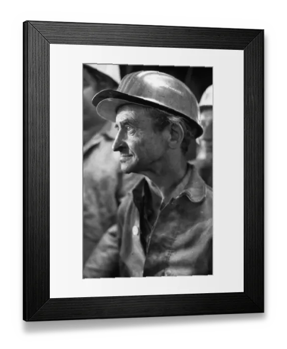 Framed Print : With the last dog the coal mine Waltrop ended its coal feeding in the coalfield on 29 Framed Print : With the last dog the coal mine Waltrop ended its coal feeding in the coalfield on 29