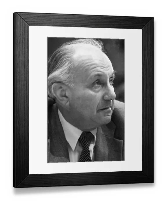 Framed Print : 4th Extraordinary Congress of the German Trade Union Confederation (DGB) on 12