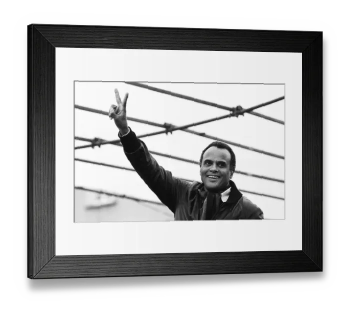 Framed Print : More than 300, 000 people attended the largest peace demonstration in Germany to date in Bonn's Hofgarten in