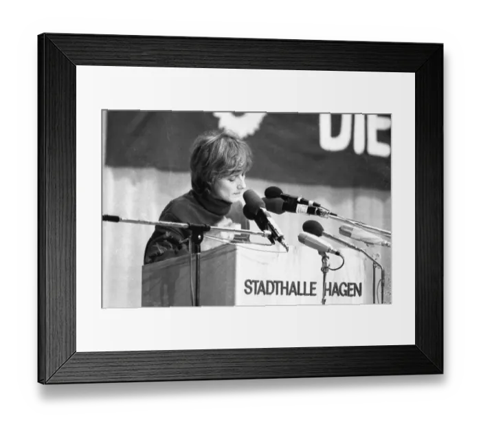 Framed Print : The Greens met for their 1982 national congress