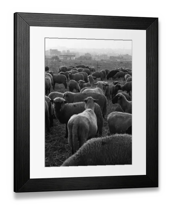 Framed Print : The Ruhr area with photographic impressions in the years from 1965 to 1970