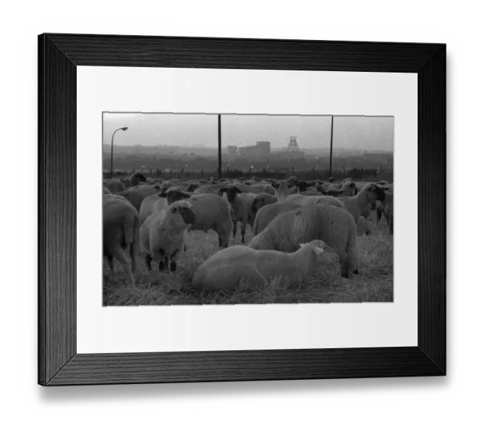 Framed Print : The Ruhr area with photographic impressions in the years from 1965 to 1970