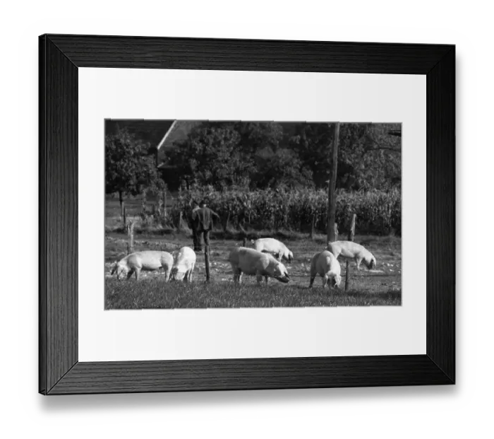 Framed Print : Farmers working in the fields in Muensterland on 10