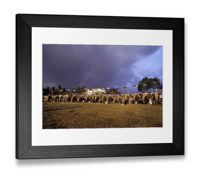 Framed Print : Great Elephant March Festival in Thiruvananthapuram Trivandrum Framed Print : Great Elephant March Festival in Thiruvananthapuram Trivandrum