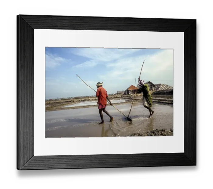 Framed Print : Workers in salt pan at Thoothukudi Tuticorin