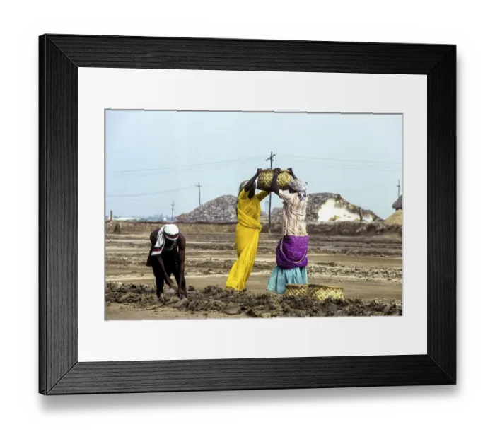 Framed Print : Workers in salt pan at Thoothukudi Tuticorin Framed Print : Workers in salt pan at Thoothukudi Tuticorin