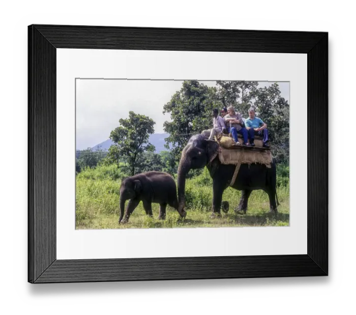 Framed Print : Foregin tourists to observe wildlife on an elephant in Bandipur Sanctuary
