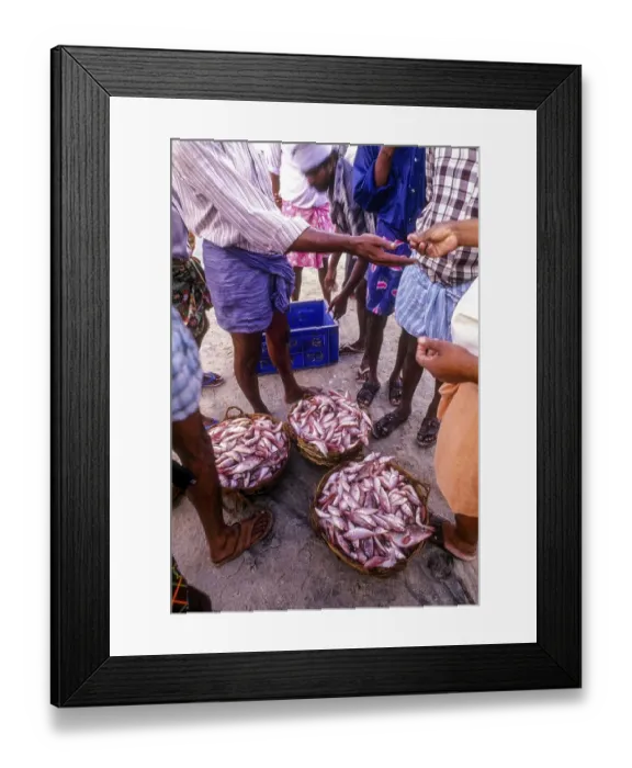 Framed Print : Bargaining of the fish, Kerala