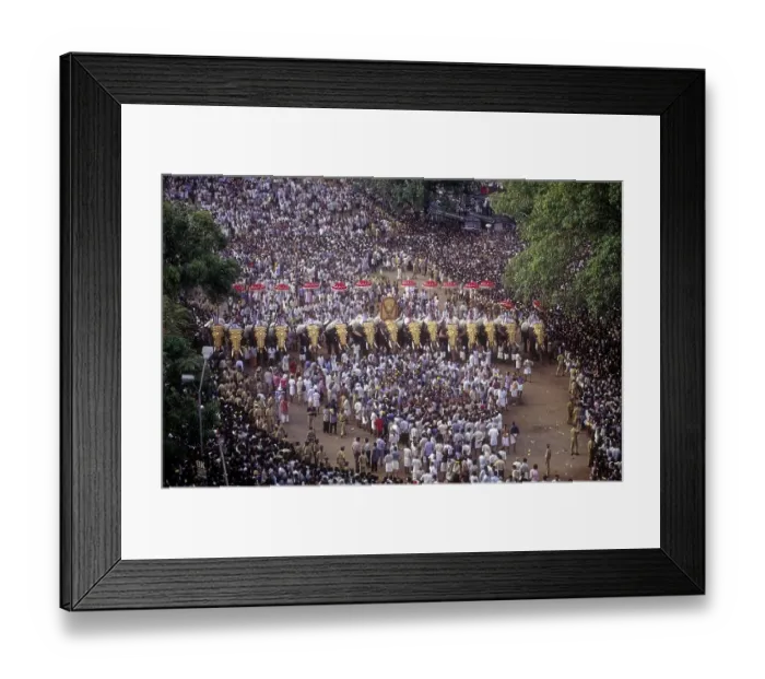 Framed Print : Spectators Gathering in Lakhs to witness the Pooram Festival in Thrissur Trichur