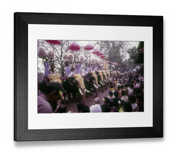 Framed Print : Pooram Festival in Thrissur Trichur