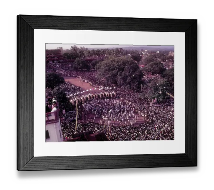 Framed Print : Pooram Festival in Thrissur Trichur