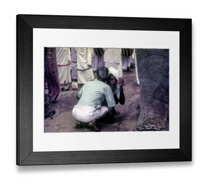 Framed Print : Mahouts chit chat Pooram festival in Thrissur Trichur Framed Print : Mahouts chit chat Pooram festival in Thrissur Trichur