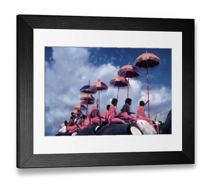 Framed Print : Colorful view of the Thiruvembady group in Pooram festival at Thrissur Trichur Framed Print : Colorful view of the Thiruvembady group in Pooram festival at Thrissur Trichur