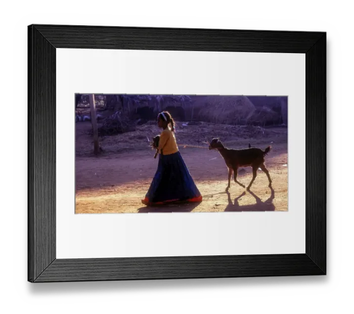 Framed Print : Lass taking along goat and lamb at Kokkarebellur