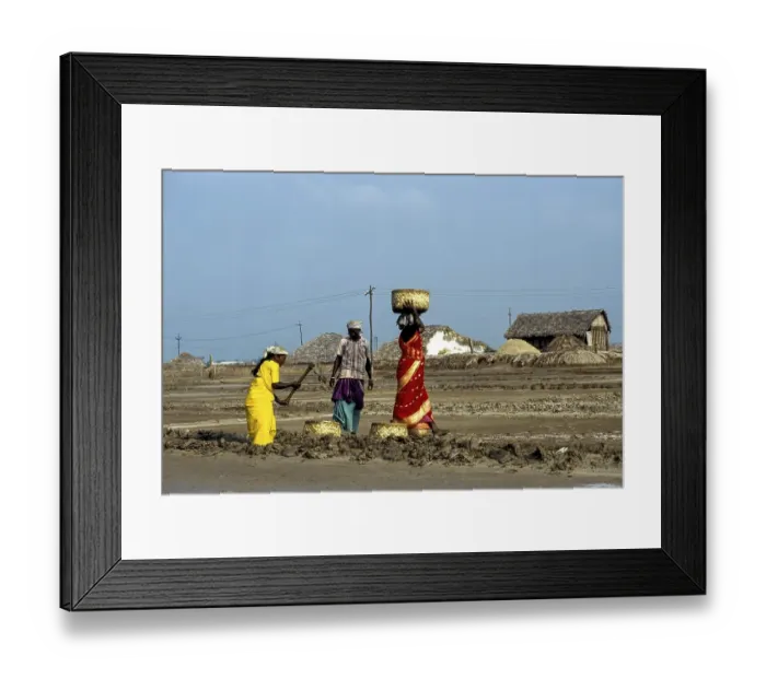 Framed Print : Workers at Salt Pan in Thoothukudi Tuticorin Framed Print : Workers at Salt Pan in Thoothukudi Tuticorin
