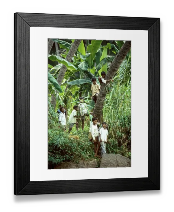 Framed Print : Boys enjoying their holidays standing near a river at Courtalam Kutralam Kuttalam Framed Print : Boys enjoying their holidays standing near a river at Courtalam Kutralam Kuttalam