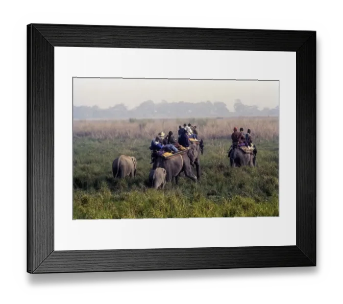 Framed Print : Tourists an Elephant back at Kaziranga National Park