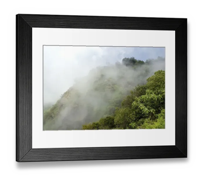 Framed Print : Mist capped Singara hill view Nilgiris Framed Print : Mist capped Singara hill view Nilgiris
