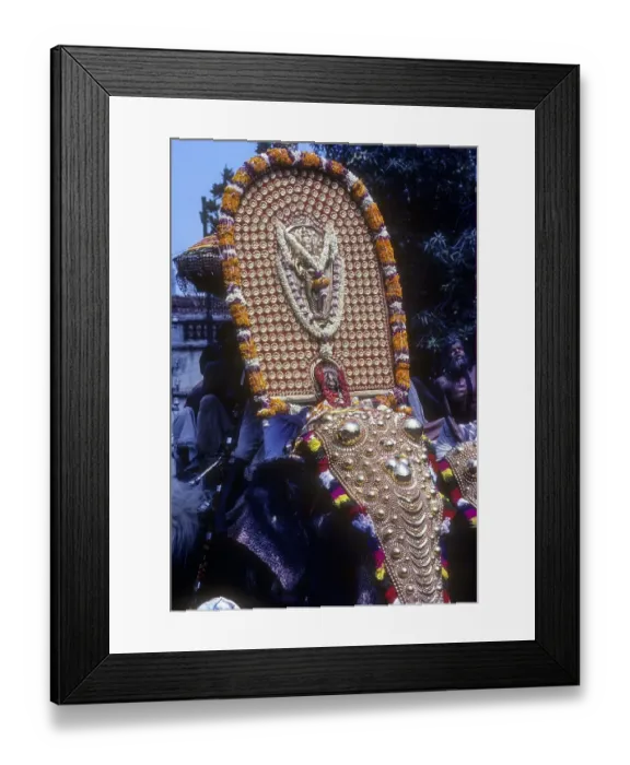 Framed Print : Icon of lord Krishna deity atop Caparisoned elephant in Pooram festival Framed Print : Icon of lord Krishna deity atop Caparisoned elephant in Pooram festival