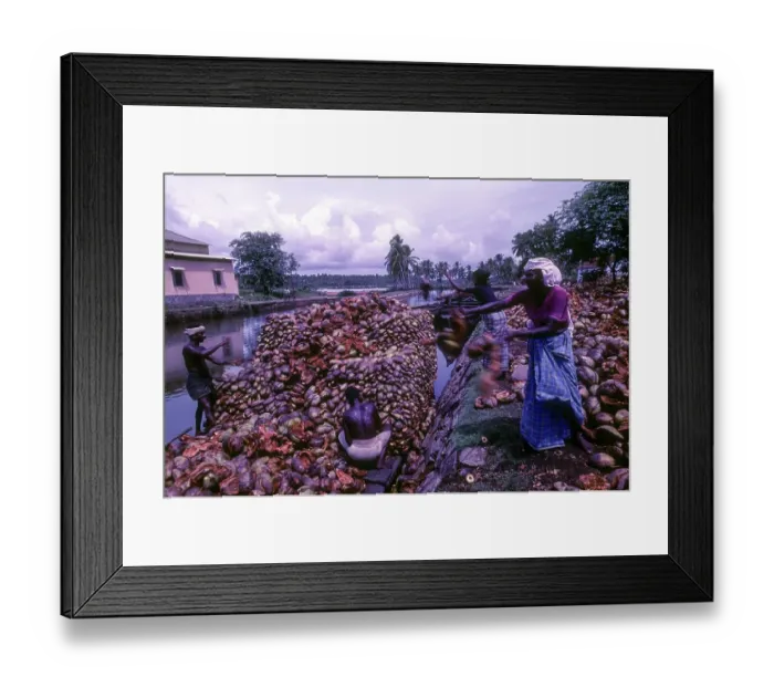 Framed Print : Coir Processing Small Industry